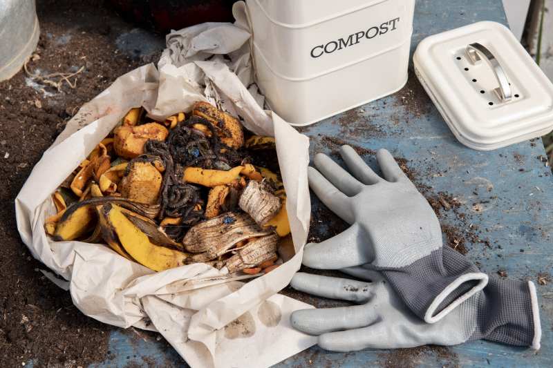 Nawozy naturalne: kompost i torf – czy można użyć torfu zamiast kompostu?