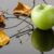 Atakujące jabłonie szkodniki i skuteczne metody ich zwalczania