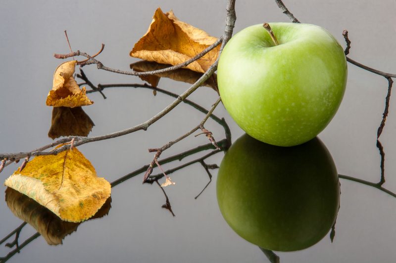 Atakujące jabłonie szkodniki i skuteczne metody ich zwalczania